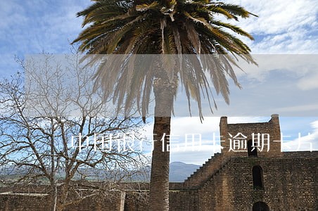 中国银行信用卡逾期卡片冻结 中国银行信用卡逾期卡片冻结