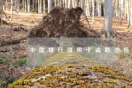中国银行信用卡逾期去柜台