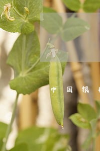 中国银行信用卡逾期变呆账了 中国银行信用卡逾期变呆账了