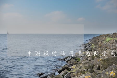 中国银行信用卡逾期变成呆账 中国银行信用卡逾期变成呆账