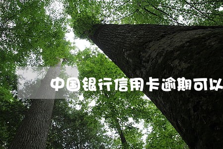 中国银行信用卡逾期可以分期吗 中国银行信用卡逾期可以分期吗