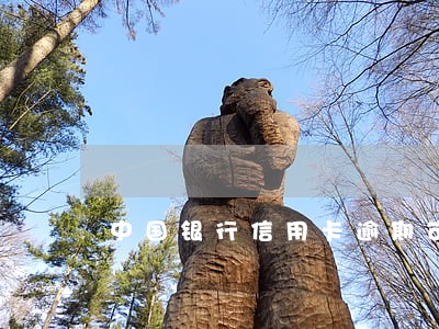 中国银行信用卡逾期可怎么办 中国银行信用卡逾期可怎么办