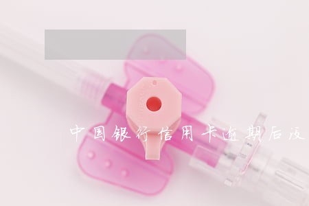 中国银行信用卡逾期后没有提醒 中国银行信用卡逾期后没有提醒