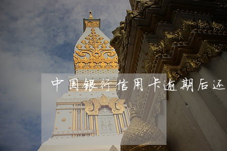 中国银行信用卡逾期后还款 中国银行信用卡逾期后还款