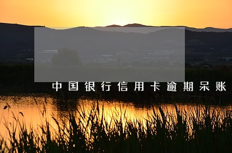 中国银行信用卡逾期呆账 中国银行信用卡逾期呆账