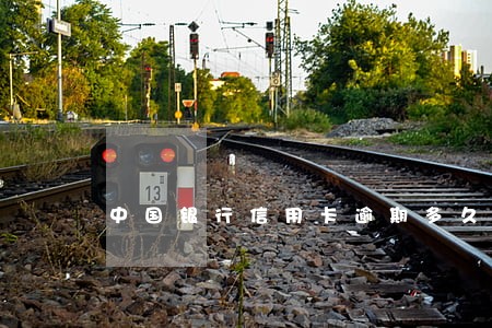 中国银行信用卡逾期多久会冻结