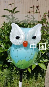 中国银行信用卡逾期多久会消除