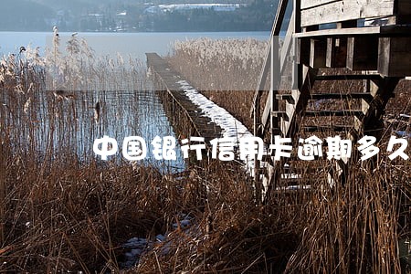 中国银行信用卡逾期多久就上征信