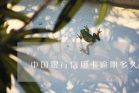 中国银行信用卡逾期多久能消 中国银行信用卡逾期多久能消
