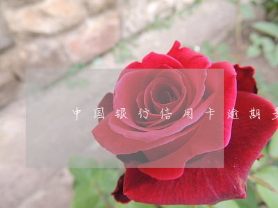 中国银行信用卡逾期多久能消除