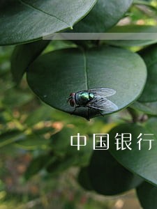 中国银行信用卡逾期多少天 中国银行信用卡逾期多少天