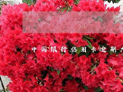 中国银行信用卡逾期大概多少