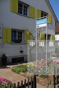 中国银行信用卡逾期很久了怎么办