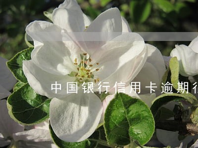 中国银行信用卡逾期很久还款 中国银行信用卡逾期很久还款