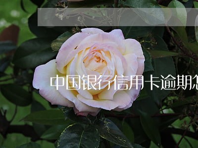 中国银行信用卡逾期怎么还款 中国银行信用卡逾期怎么还款