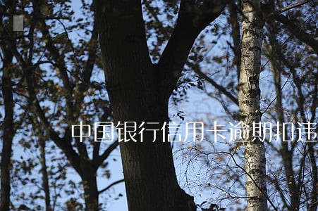 中国银行信用卡逾期扣违约金 中国银行信用卡逾期扣违约金