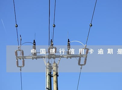 中国银行信用卡逾期是怎么算 中国银行信用卡逾期是怎么算
