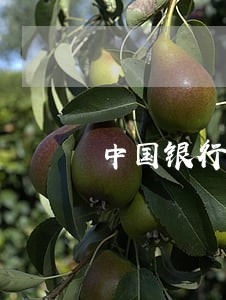 中国银行信用卡逾期最高翻了几倍 中国银行信用卡逾期最高翻了几倍