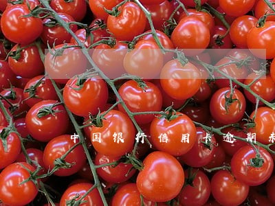 中国银行信用卡逾期未还款 中国银行信用卡逾期未还款
