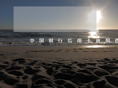 中国银行信用卡逾期查不到额度 中国银行信用卡逾期查不到额度