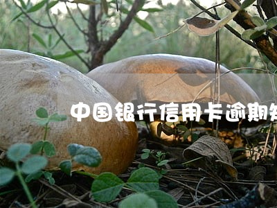 中国银行信用卡逾期短信内容 中国银行信用卡逾期短信内容