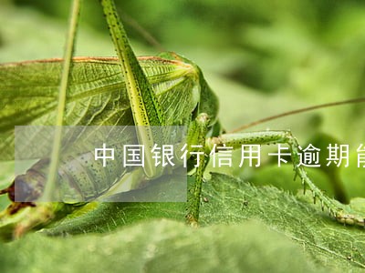 中国银行信用卡逾期能分期么 中国银行信用卡逾期能分期么