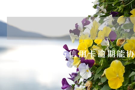 中国银行信用卡逾期能协商吗 中国银行信用卡逾期能协商吗