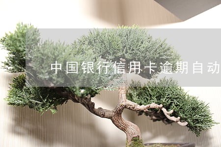 中国银行信用卡逾期自动解冻 中国银行信用卡逾期自动解冻