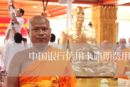 中国银行信用卡逾期费用太高