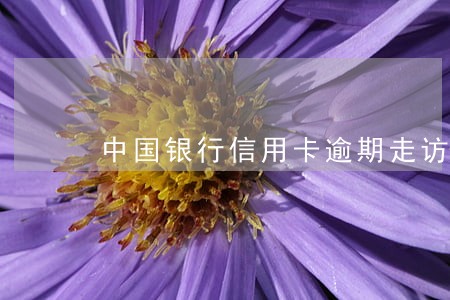 中国银行信用卡逾期走访 中国银行信用卡逾期走访