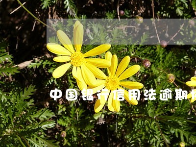 中国银行信用法逾期协商 中国银行信用法逾期协商