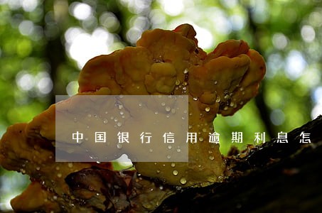 中国银行信用逾期利息怎麼算 中国银行信用逾期利息怎麼算