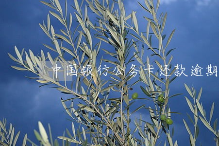 中国银行公务卡还款逾期利息 中国银行公务卡还款逾期利息