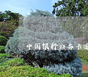 中国银行公务卡逾期半年 中国银行公务卡逾期半年