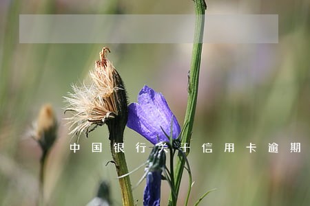 中国银行关于信用卡逾期 中国银行关于信用卡逾期