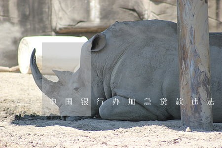中国银行办加急贷款违法吗 中国银行办加急贷款违法吗