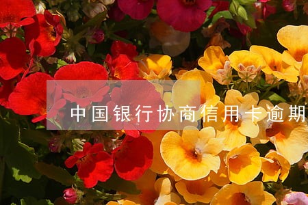 中国银行协商信用卡逾期 中国银行协商信用卡逾期
