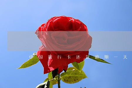 中国银行卡还款逾期一天 中国银行卡还款逾期一天