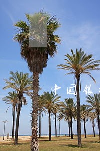中国银行呆账如何变成逾期 中国银行呆账如何变成逾期