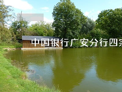 中国银行广安分行四宗违法遭罚 中国银行广安分行四宗违法遭罚