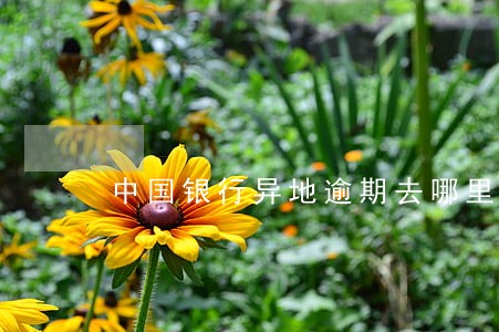 中国银行异地逾期去哪里处理 中国银行异地逾期去哪里处理