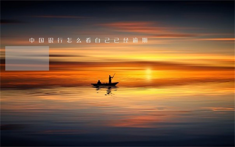 中国银行怎么看自己已经逾期 中国银行怎么看自己已经逾期