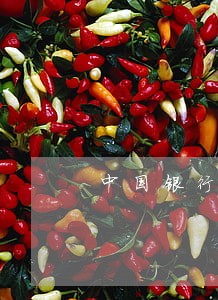 中国银行房贷款逾期两个月 中国银行房贷款逾期两个月
