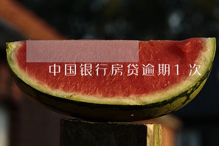 中国银行房贷逾期1次 中国银行房贷逾期1次