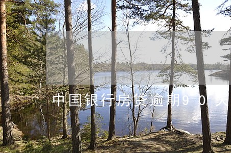 中国银行房贷逾期90天怎么办 中国银行房贷逾期90天怎么办