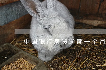 中国银行房贷逾期一个月 中国银行房贷逾期一个月