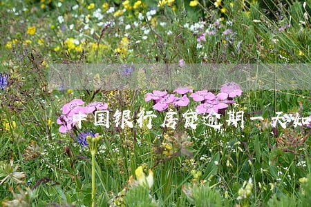 中国银行房贷逾期一天如何申诉 中国银行房贷逾期一天如何申诉
