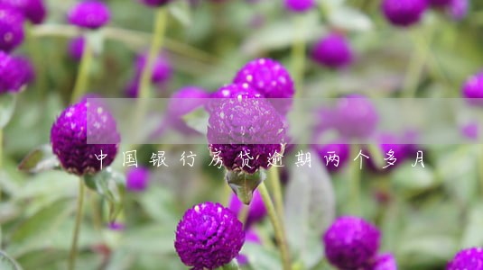 中国银行房贷逾期两个多月 中国银行房贷逾期两个多月