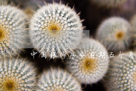 中国银行房贷逾期五个月