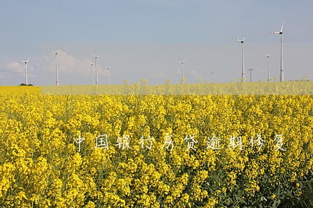 中国银行房贷逾期修复 中国银行房贷逾期修复